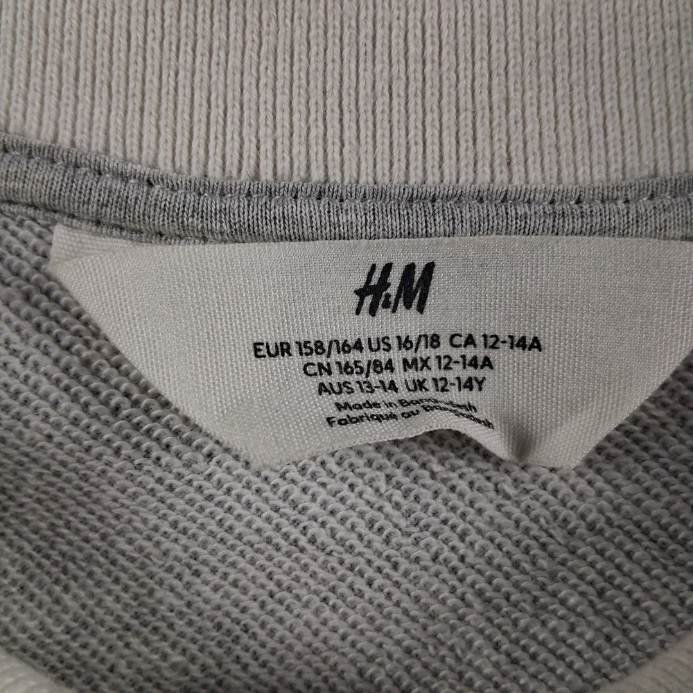 H&M Harry Potter Hedwig Sweatshirt Kids 12-14Y Grey Hogwarts Graphic Pullover - Picture 4 of 7